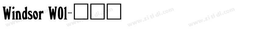 Windsor W01字体转换